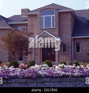 De plus en plus faible des annuelles d'été sur le mur en face de grands nouveaux country house Banque D'Images