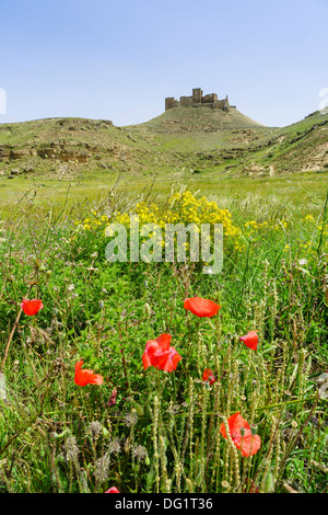 Le nord-ouest de l'Espagne - le château de Montéaragon près de Huesca Banque D'Images