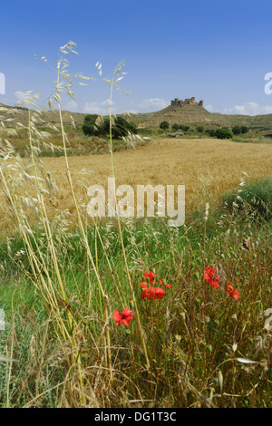 Le nord-ouest de l'Espagne - le château de Montéaragon près de Huesca Banque D'Images