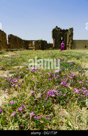 Le nord-ouest de l'Espagne - le château de Montéaragon près de Huesca, fleurs sauvages dans la cour, envahi par la femme à marcher en direction de la tour. Banque D'Images