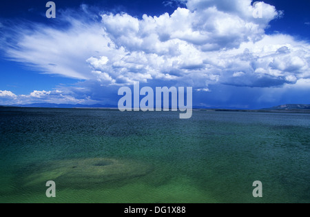 Elk265-2533 du Wyoming, Yellowstone National Park, West Thumb Geyser Basin, Yellowstone Lake Banque D'Images