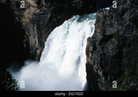 Elk265-2152 du Wyoming, Yellowstone National Park, Yellowstone Falls, chutes supérieures Banque D'Images