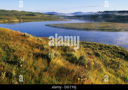 Elk265-2279 le Parc National de Yellowstone, Wyoming, Hayden Valley, Yellowstone River Banque D'Images