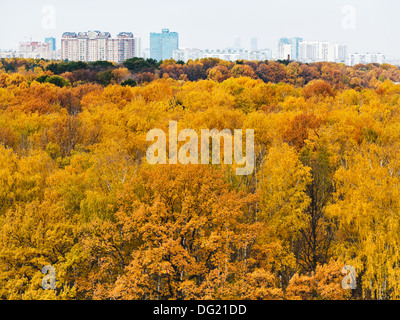 Forêt d'automne jaune et la construction urbaine à l'horizon Banque D'Images