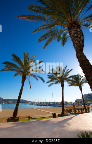 Ibiza San Antonio Abad de Portmany plage en Îles Baléares d'espagne Banque D'Images