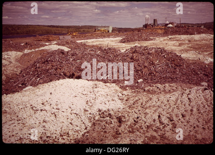 L'ÉCORCE DES DÉCHETS ET DES PRODUITS CHIMIQUES DE LA GEORGIA PACIFIC CO PAPIER EMPILÉ À CÔTÉ DE LA ST. Rivière Sainte-Croix. L'USINE DE PAPIER EST EN... 550350 Banque D'Images