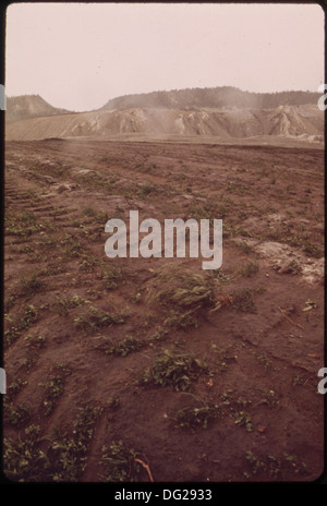 Les efforts de remise en état de la mine à ciel ouvert de la Peabody Coal Company au sud de Colstrip impliquent l'aplatissement des tas de déblais et la plantation de végétation. Ce processus aide à restaurer les terres après l'exploitation minière, favorisant ainsi la restauration de l'environnement. Banque D'Images