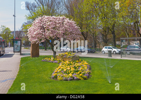 Marcel Rudloff square de fleurs de magnolia Strasbourg Alsace France Banque D'Images