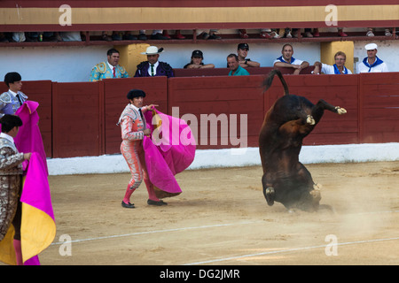 La tauromachie espagnole le 19 juillet 2013 à La Linea de la Concepcion, Espagne. Banque D'Images