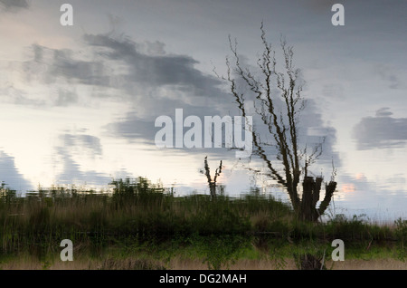 Reflet de ciel coucher soleil crépuscule et arbres morts sur la surface de la rivière Ant, Norfolk Broads, Angleterre. Mai. Banque D'Images