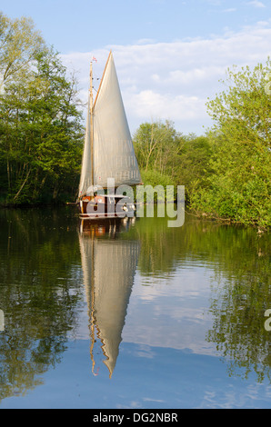 Navigation dans un yacht sur la rivière Bure sur les Norfolk Broads, UK en mai à côté des arbres. Banque D'Images