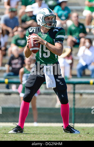 DeLand, en Floride, aux États-Unis. 12 octobre, 2013. Le quart-arrière Ryan Tentler Stetson de chapeliers (15) au cours de premier semestre NCAA Football action de jeu entre les Flyers de Dayton et Stetson Chapeliers au Spec Martin Stadium à DeLand, Floride. Credit : csm/Alamy Live News Banque D'Images