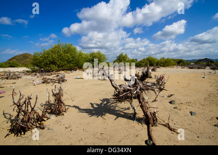 Plage sale sur l'île de Lombok. L'Indonésie. Banque D'Images