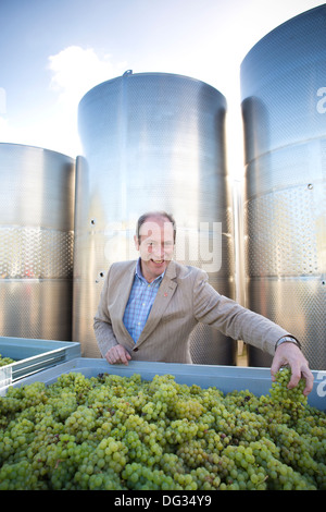 Frazer Thompson PDG de English vin Vins, Tenterden Chapel Down, Kent, England, UK Banque D'Images