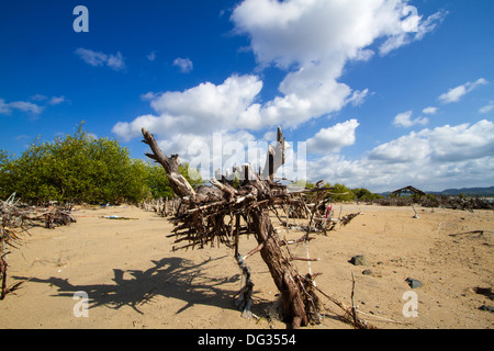 Plage sale sur l'île de Lombok. L'Indonésie. Banque D'Images