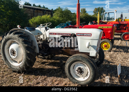 Tracteur David Brown 770 selectamatic Banque D'Images