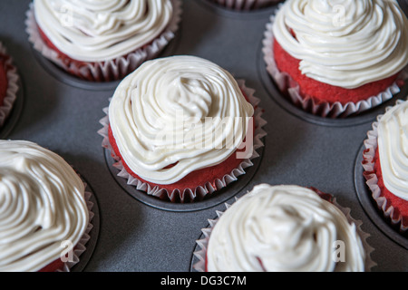 Red Velvet Cupcakes avec glaçage au fromage à la crème, Close-Up, High Angle View Banque D'Images