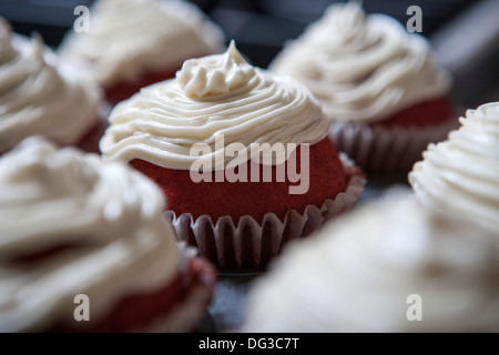 Red Velvet Cupcakes avec glaçage au fromage à la crème, Close-Up Banque D'Images