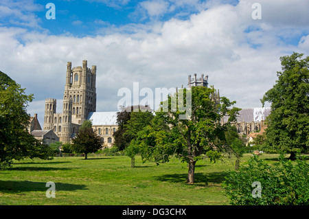 Cathédrale d'Ely en Angleterre Uk Banque D'Images