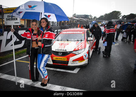 Circuit de Brands Hatch, Kent, UK. 13 Oct, 2013. Action de la ronde finale de la British Touring Car Championship, où Andrew pilote Jordon scellé le championnat pour l'équipe de course Pirtek, au circuit de Brands Hatch, Kent, UK. Crédit : Kevin Bennett/Alamy Live News Banque D'Images