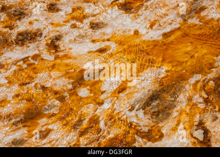 Tapis de bactéries colorées entourant Grand Prismatic Spring, Midway Geyser Basin, Parc National de Yellowstone, Wyoming Banque D'Images