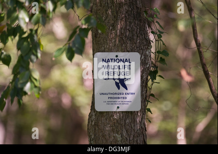 National Wildlife Refuge signe affiché sur le fleuve Saint-Jean dans le centre de la Floride USA Banque D'Images