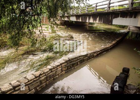 Austin, TX, USA. 13 Oct, 2013. Shoal Creek fait rage avec les rapides et la chute d'arbres en raison de fortes pluies de l'automne, après 12 pouces de pluie à Austin, Texas, USA. Oct 13, 2013 Credit : © Sandy Carson/ZUMAPRESS.com/Alamy Live News Banque D'Images