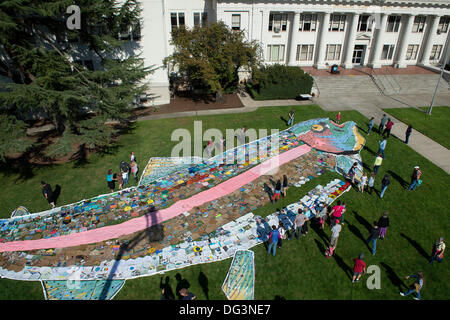 Roseburg, Oregon, USA. 13 Oct, 2013. Le changement climatique des militants et citoyens se rassemblent autour d'un 150 pieds de long l'inscription d'un natif de truites arc-en-ciel apparaît sur la pelouse devant le palais de justice du comté de Douglas de Roseburg, dimanche. Le gros poisson est composée de plus de 1000 panneaux individuels créés par les écoliers et les adultes. Le projet a été mis en place par le comté de Douglas le réchauffement de la Coalition afin d'aider à sensibiliser sur les changements climatiques. Crédit : Robin Loznak ZUMAPRESS.com/Alamy/Live News Banque D'Images