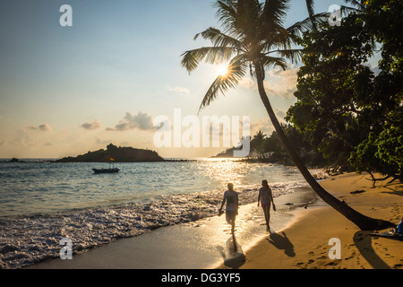 La plage de Mirissa, couple en prenant une promenade romantique sous un palmier au coucher du soleil, la Côte Sud, Sri Lanka, Asie Banque D'Images