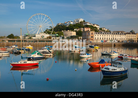 Le port de Torquay, Devon, Angleterre, Royaume-Uni, Europe Banque D'Images