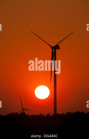 Allemagne/Brandebourg/Proschim, ILUUSTRATION : énergie renouvelable ; les moteurs à vent et le soleil mourant sont vus sur un champ dans le Brandebourg, 08 Oct 2013 Banque D'Images