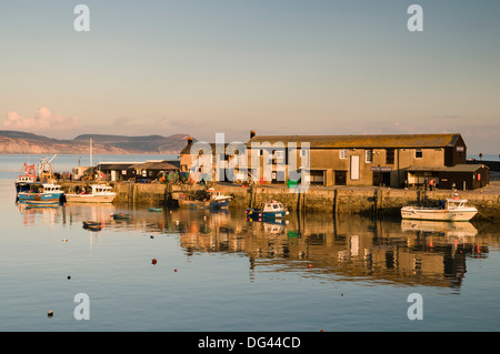 Le port de Lyme Regis prises au Cobb, Dorset, Angleterre, Royaume-Uni, Europe Banque D'Images