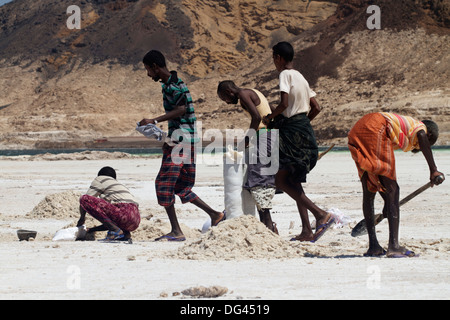 Caravane de sel de Djibouti, le lac Assal allant de montagnes éthiopiennes à l'Afrique, Djibouti, Banque D'Images