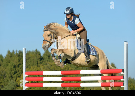 Jeune (le port d'un protecteur du corps) à l'arrière d'un fjord norvégien horse show jumping Banque D'Images