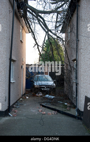 Gros gros arbre tombé est écrasée sur house dans la tempête d'endommager gravement le toit Banque D'Images