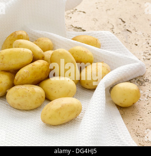Pommes de terre Jersey Royal assis sur des linges à vaisselle blanc Banque D'Images