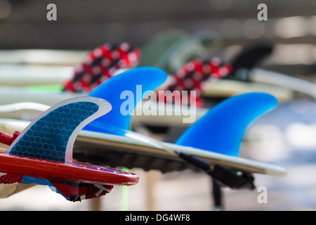 Ailettes de surf.L'île de Bali.L'Indonésie. Banque D'Images