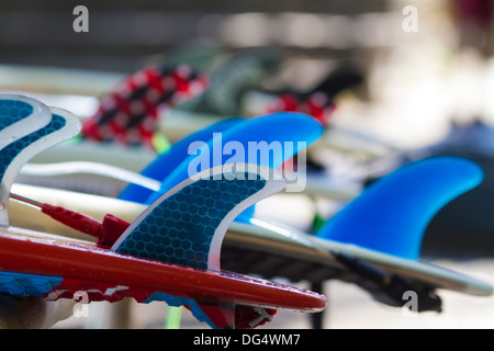 Ailettes de surf.L'île de Bali.L'Indonésie. Banque D'Images