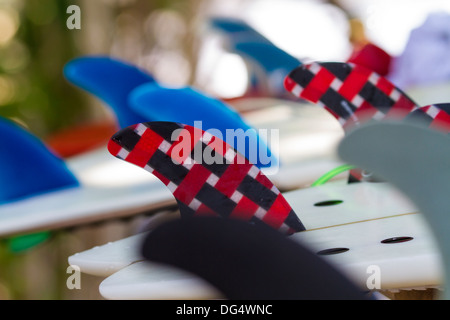Ailettes de surf.L'île de Bali.L'Indonésie. Banque D'Images