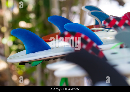 Ailettes de surf.L'île de Bali.L'Indonésie. Banque D'Images