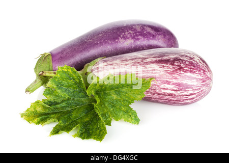 Deux aubergines mûres. Isolé sur fond blanc Banque D'Images