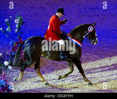 Birmingham, UK. 13 Oct, 2013. Simon Reynolds championne suprême équitation marque IX. (HOYS). National Exhibition Centre (NEC). Birmingham. UK. Le 13/10/2013. Credit : Sport en images/Alamy Live News Banque D'Images