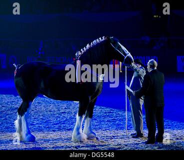 Birmingham, UK. 13 Oct, 2013. Des scènes de la Grande Finale. L'Ode au cheval lu par Nick Brookes-Ward. (HOYS). National Exhibition Centre (NEC). Birmingham. UK. Credit : Sport en images/Alamy Live News Banque D'Images