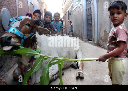 Les enfants avc l'animal sacrificiel comme musulman se préparer au prochain Aïd al-Azha, maison de vacances à Karachi le lundi 14 octobre, 2013. Les musulmans du monde entier vont célébrer Eid-al-Azha qui marque la fin du Hajj. L'abattage sera musulmane moutons, chèvres, vaches et chameaux pour commémorer le Prophète Abraham était prêt à sacrifier son fils Ismaël sur l'ordre de Dieu sur le calendrier islamique 10 Zil-Hijjah. Banque D'Images