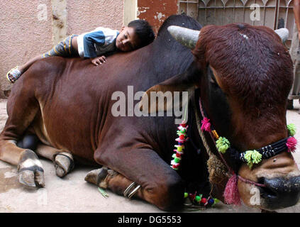 Les enfants avc l'animal sacrificiel comme musulman se préparer au prochain Aïd al-Azha, maison de vacances à Karachi le lundi 14 octobre, 2013. Les musulmans du monde entier vont célébrer Eid-al-Azha qui marque la fin du Hajj. L'abattage sera musulmane moutons, chèvres, vaches et chameaux pour commémorer le Prophète Abraham était prêt à sacrifier son fils Ismaël sur l'ordre de Dieu sur le calendrier islamique 10 Zil-Hijjah. Banque D'Images