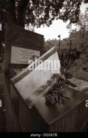 Vieux cimetière juif à Lodz, Pologne. Le cimetière est le plus grand du genre en Europe, avec 180 000 tombes. Banque D'Images