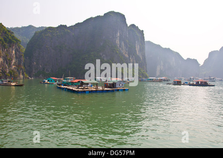 Belle Baie de Halong au Vietnam pays de marins Banque D'Images