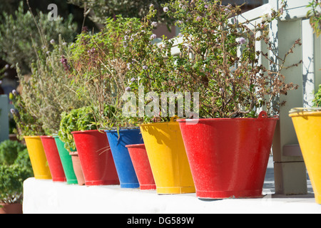 Santorin (thira), CYCLADES, en Grèce. Des herbes poussant dans des pots colorés à l'extérieur une taverne dans la station balnéaire de Kamari. L'année 2013. Banque D'Images