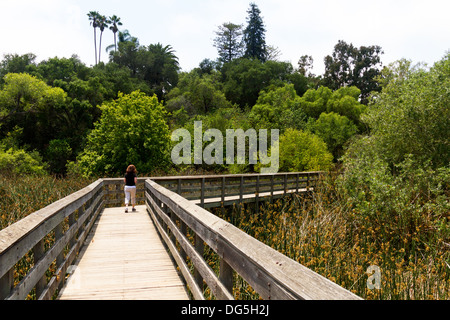 Femme vu de dos marchant sur une passerelle en bois à travers un marais avec un écrin de verdure à l'arrière-plan. Banque D'Images