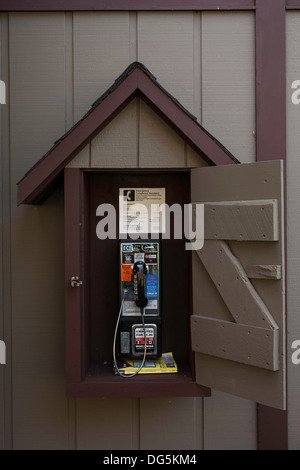 Téléphone public intéressant se bloque à l'extérieur du centre de visiteurs au parc d'état de Mount Greylock dans Lanesboro au Massachusetts. Banque D'Images